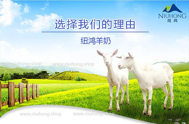 给宝宝喝鲜羊奶好吗？千万不要