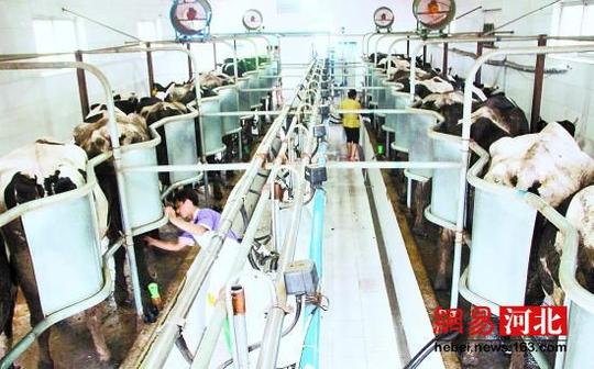 保定市:各级领导干部要做好全民创业的支持者