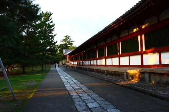 公园里有神社寺庙博物馆学校,面积大概占了城市一半了奈良公园奈良
