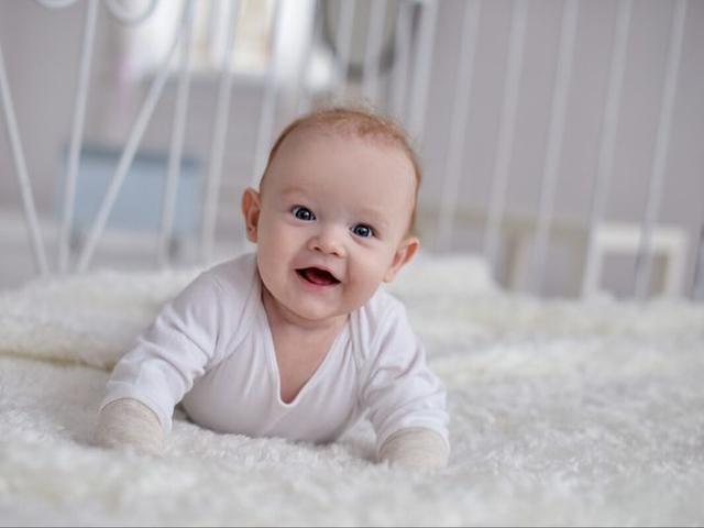 宝宝爬行好处多宝宝爬行好多小杨树爬爬小描述