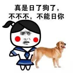我真是日了狗了搞笑表情包