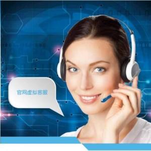 创业好项目现找代理网站客服--企业网站虚拟客服厂家
