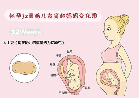 孕妇哪些特征说明胎儿发育很好