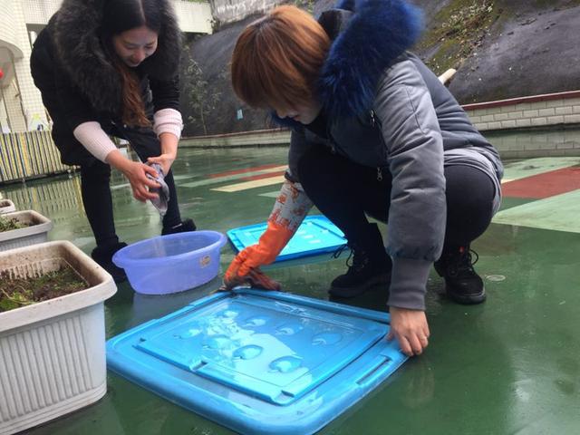 幼儿园入学准备指南get