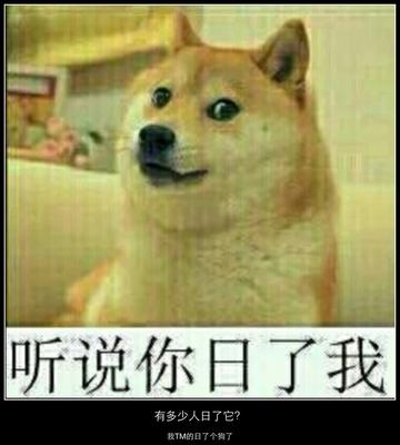 我真是日了狗了搞笑表情包