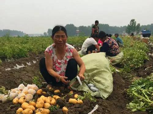 因为交易方便,货源稳定,且品质有保障,杨祖玉的生意越来越轻松,客户却