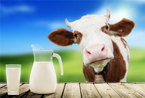 幼儿缺钙吃哪些食物是补钙的