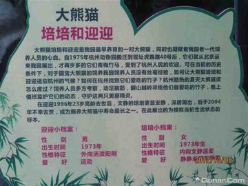杭州动物园要预约吗的相关长尾关键词有哪些