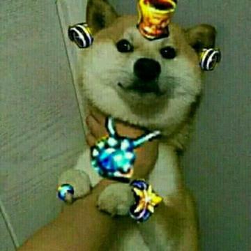  抓奶龙爪手让人的小奶变大奶斗图表情包