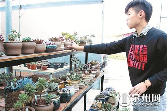 大学生回乡创业种养多肉植物