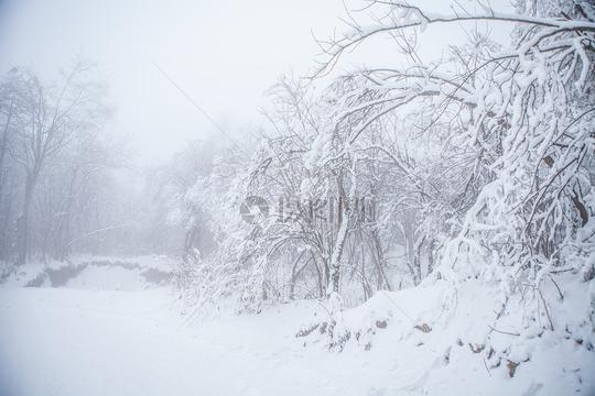 雾凇雪景素材id：500606925