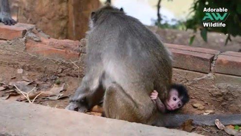 为什么肚子饿了容易生气