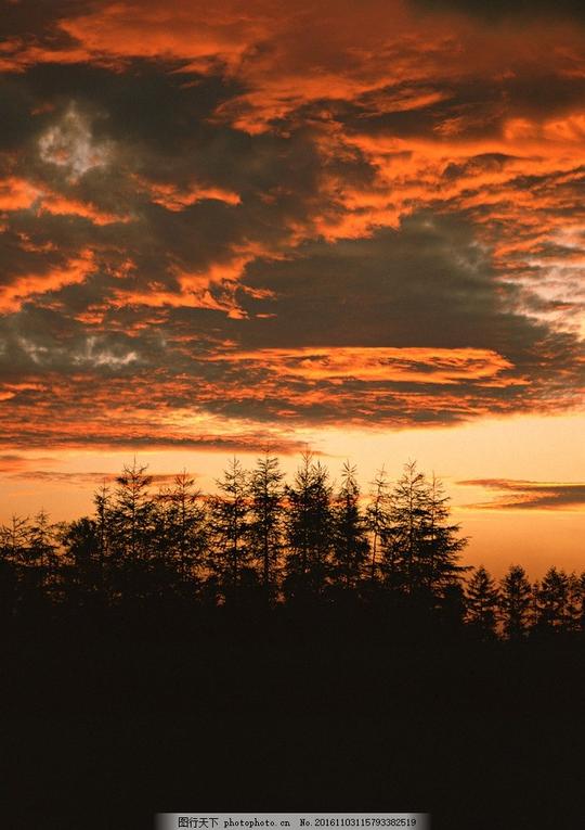 林中火烧云美景深林树林夕阳傍晚日落天空素材摄影自然景观
