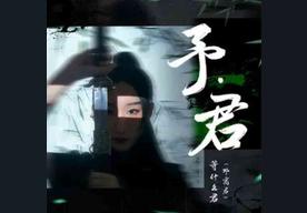 昭华情(等什么君)