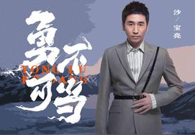 勇不可当(沙宝亮)