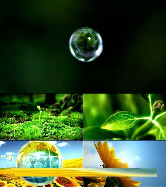 树叶发芽生长向日葵大自然绿色植物绿叶励志高清实拍视频素材