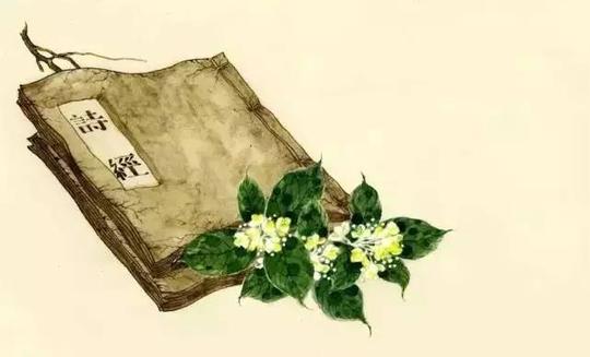 教育正文,从《诗经》到清代的诗文,从古风,民歌,律诗,绝句,到词曲