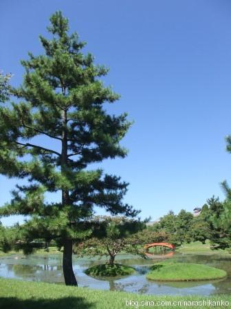 626,朝臣)在飞鸟地区(奈良县明日香村)创建的日本最早的佛教寺院