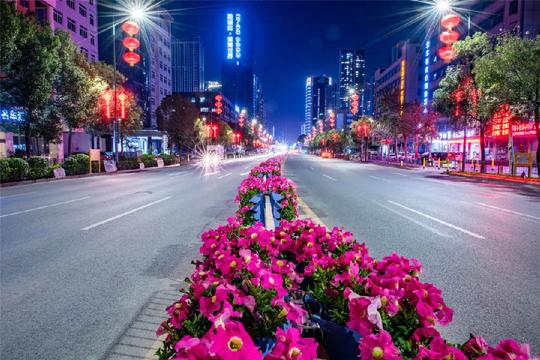 创业二路喜提花卉大道