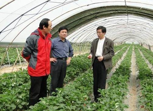 农村小投资创业项目有哪些