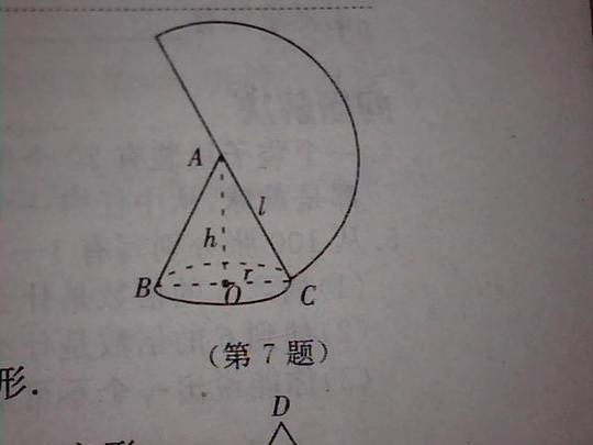 (3)圆锥的侧面积(结果保留π).