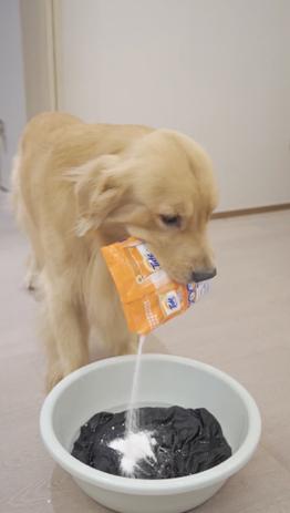 靠养猫养狗年入百万:宠物博主是门怎样的生意?|红像