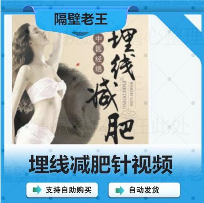 埋线减肥针视频中医穴位针灸蛋白线穴位埋线视频教程大全素材