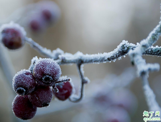 2020年寒露节气结婚日好吗