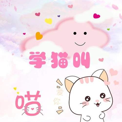 抖音【学猫叫韩语版】音译歌词分享