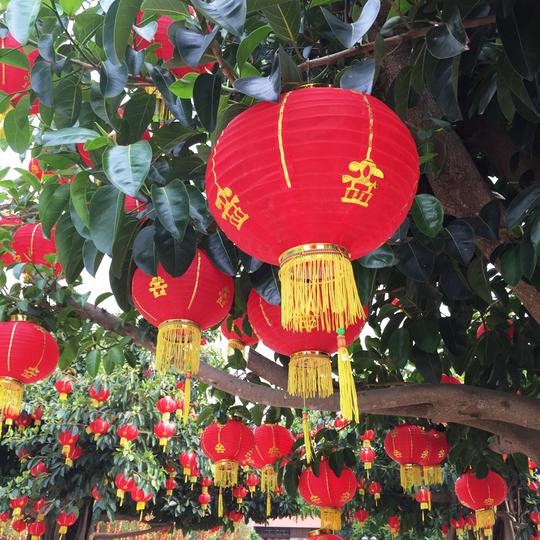 古风中国灯笼园林绿化新年春节元旦装饰钢丝防水防晒树上小红灯笼