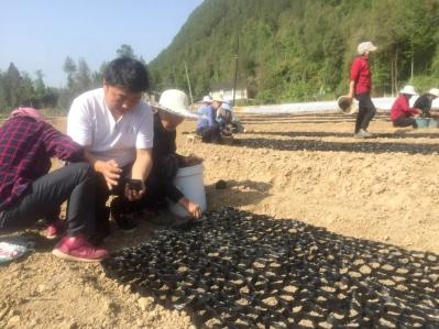 巴中80后大学生回村创业亏损百万众人助他渡过难关