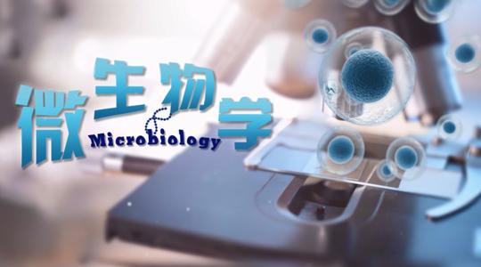 知到2021创践大学生创新创业实务章节考试答案
