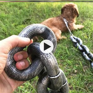 犬绳销量暴增是什么原因