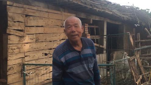 养羊到底赚钱吗?7口人的农村大爷靠20只羊养家，一年收入多少钱
