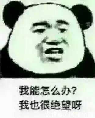 赚钱项目003-入门组合拳:信息差+搬砖式引流(适合新手