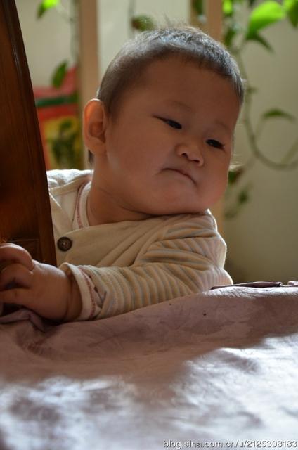 宝宝磕到后脑勺怎么办