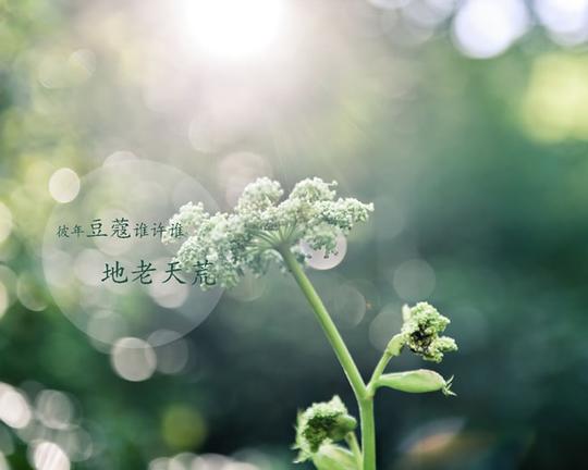 文字心情背景图片唯美文字心情背景图片素材下载_素材之家