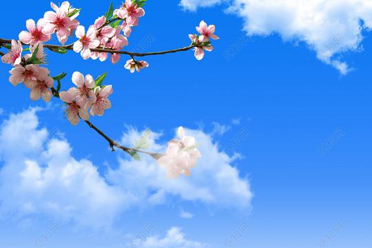 清新唯美天空蓝天春天桃花白云元素