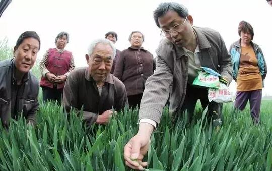 农业创业的5个大坑，进了就很难退出来!