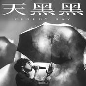 天黑黑 (Cloudy Day)(卢广仲)