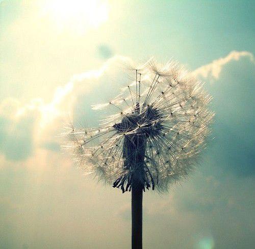 清新空间治愈系个性意境素材
