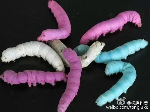 婴幼儿喂养知识