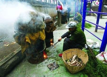 农村这种珍贵树治百病一根苗一元果子装袋卖几百