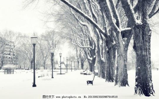 雪景雪景免费下载街道路灯马路图片素材背景图片