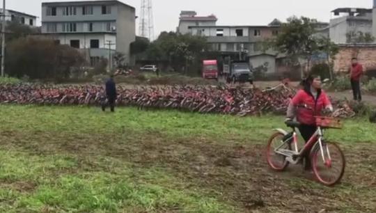 共享单车堆2亩农田,2天后被搬空,公司回应:没付租金是