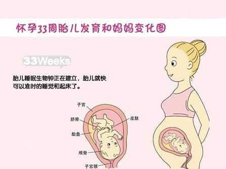 怀孕的第七周，有哪些重要注意事项