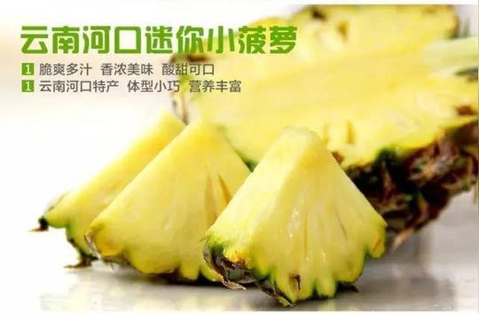 云南河口农家绿色香水小菠萝,像西瓜一样切着吃的菠萝!
