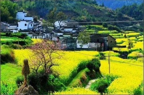 形成一批高水准文化艺术旅游创业就业乡村.