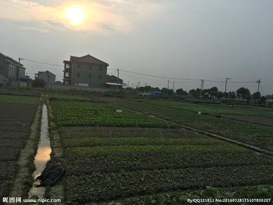 共享分关键词:耕地农田土地田野菜地