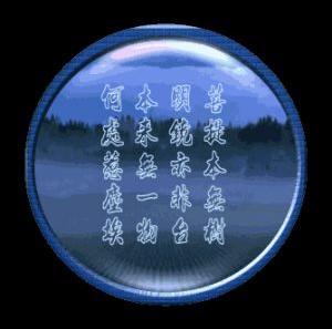 菩提本无树,明镜亦非台,本来无一物,何处惹尘埃,我心非我心,他